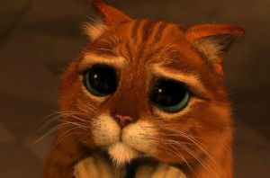 sad_cat