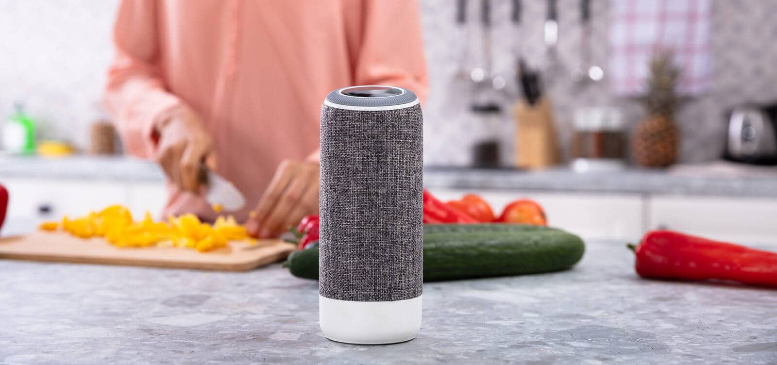 voice search speaker