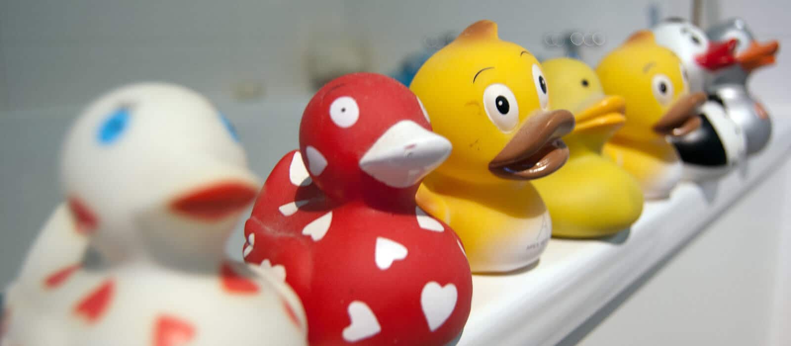 Colorful colorful duck toys standing in a row