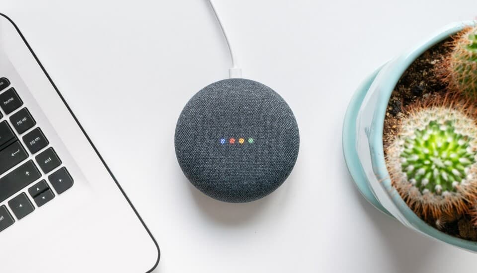 voice search has changed how users search
